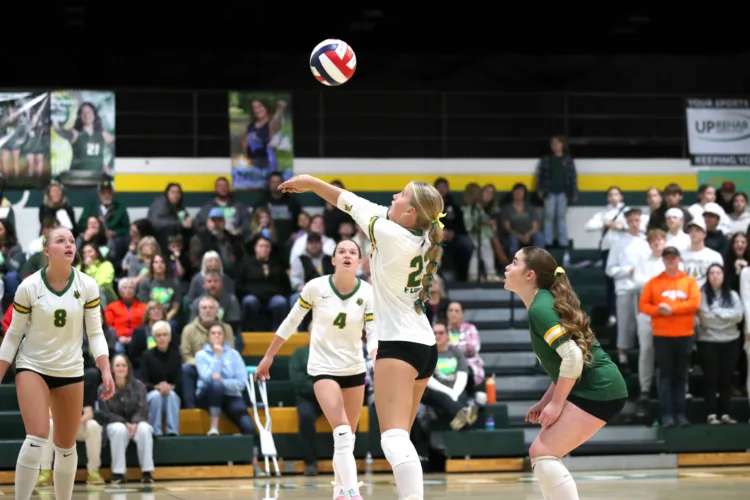 LadyCats one win away from state